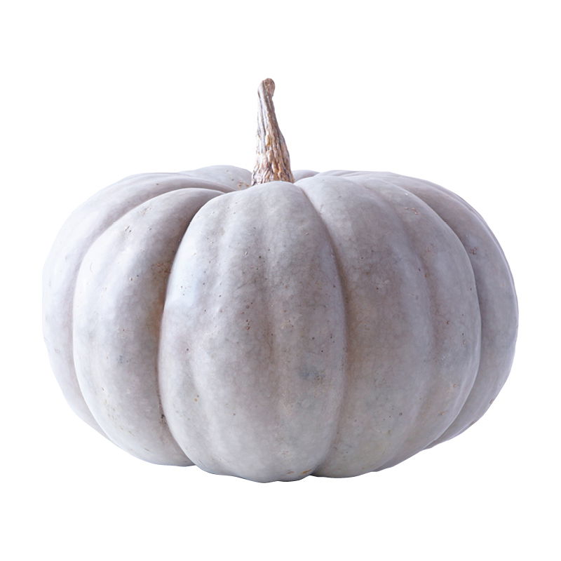 Australian Blue Pumpkin