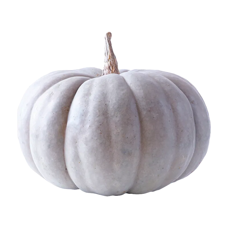 Australian Blue Pumpkin