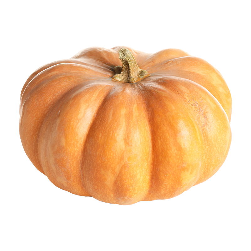Fairytale Pumpkin