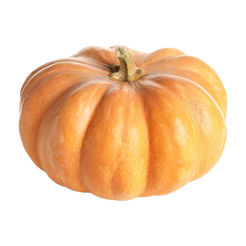 Cinderella Pumpkin