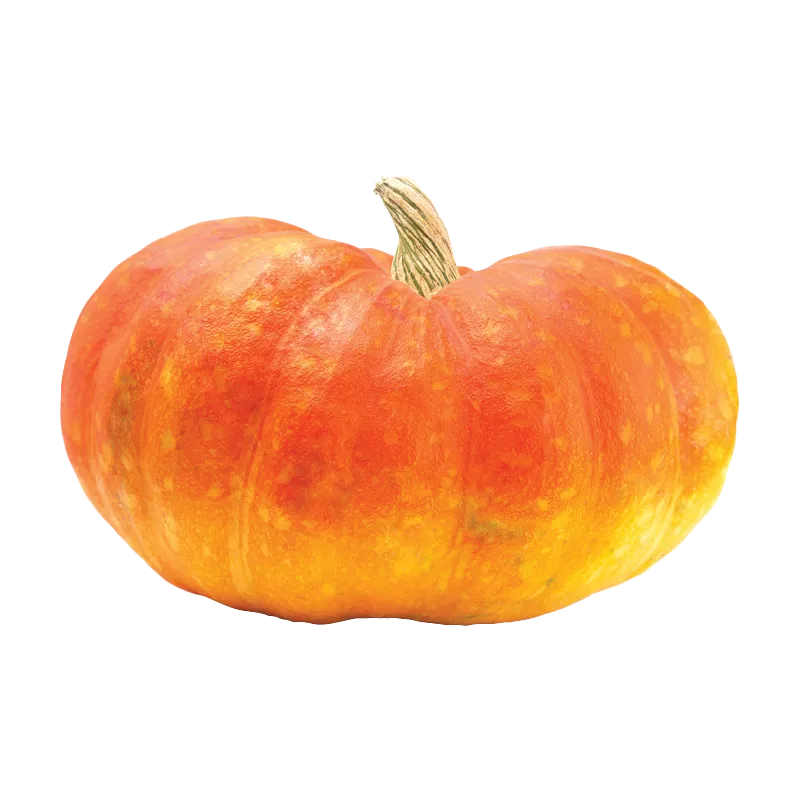 Fairytale Pumpkin