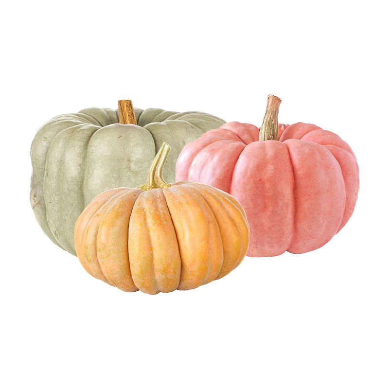 Heirloom Pumpkin