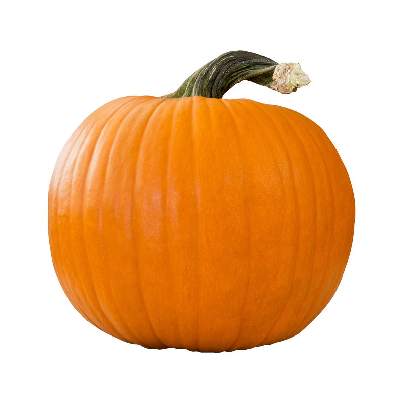 Jumbo Jack Pumpkin