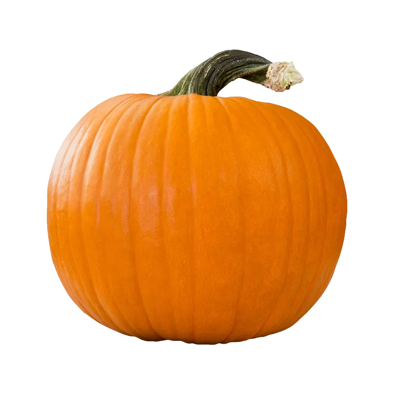 Jumbo Jack Pumpkin