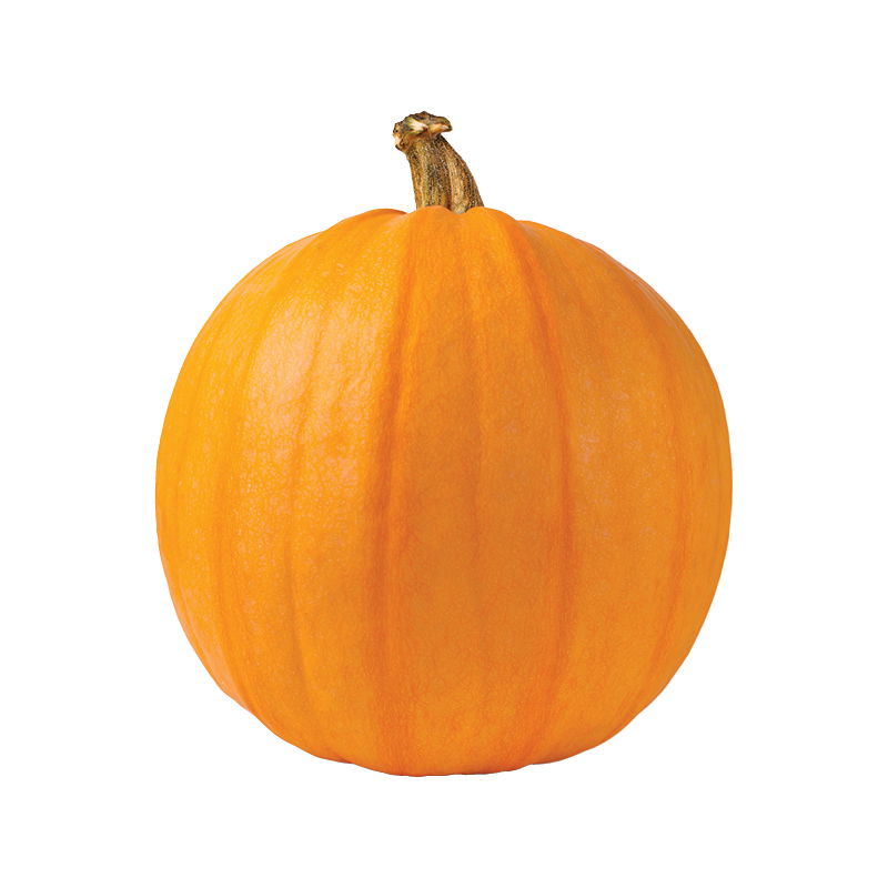 Pie Pumpkin