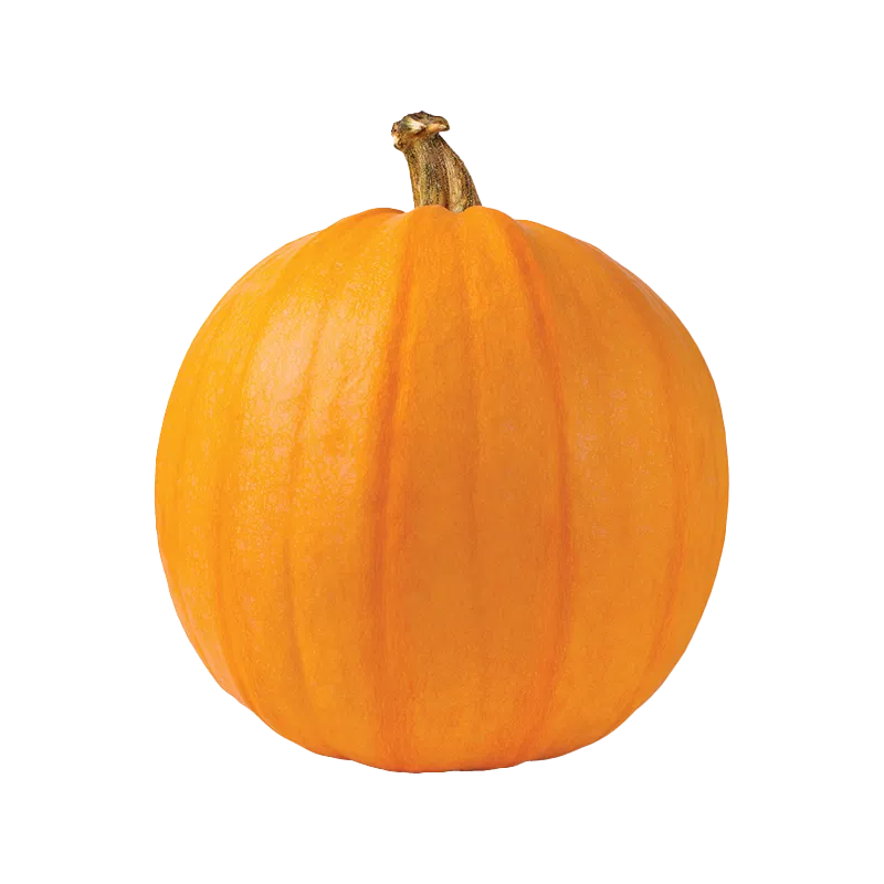 Pie Pumpkin