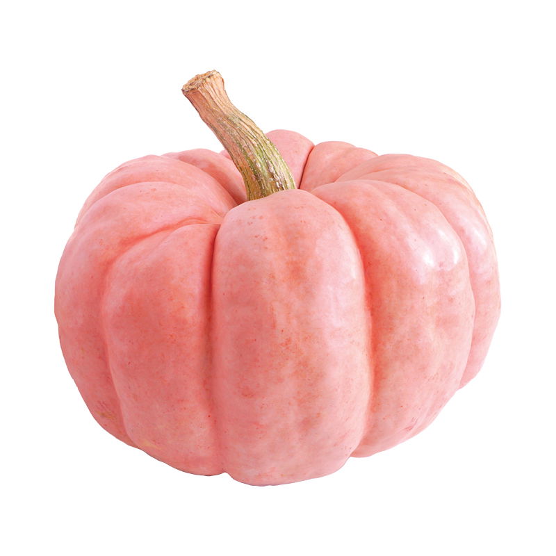 Porcelain Doll Pumpkin