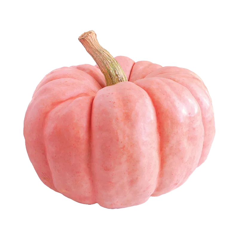 Porcelain Doll Pumpkin