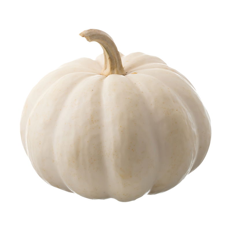 White Ghost Pumpkin