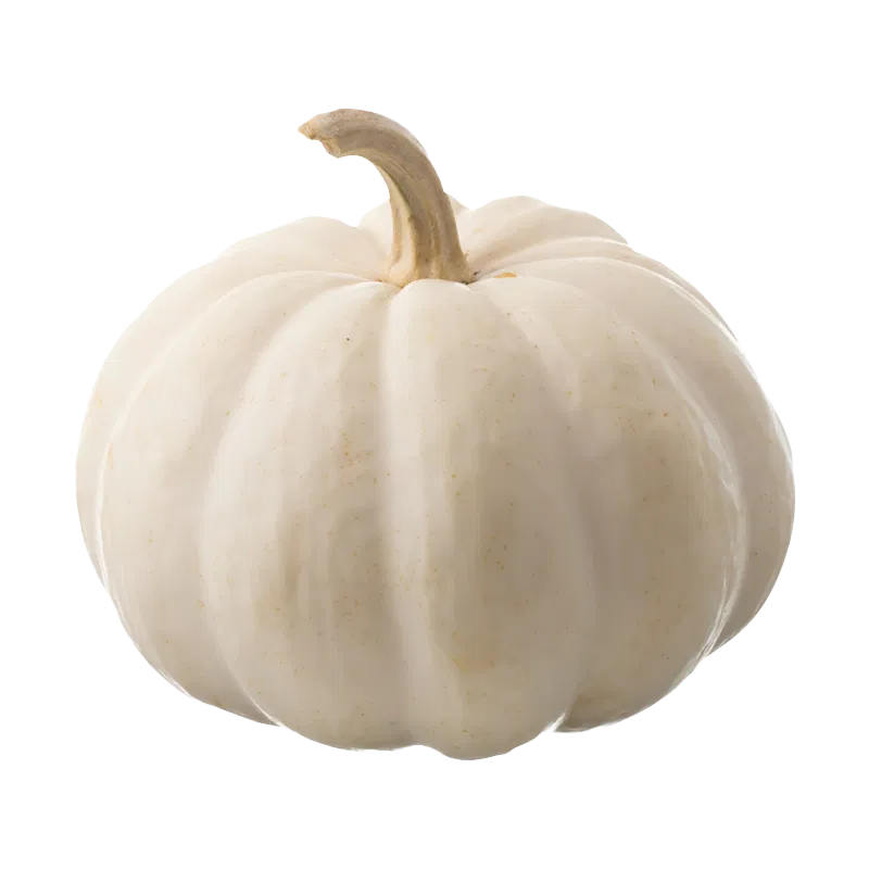 White Ghost Pumpkin