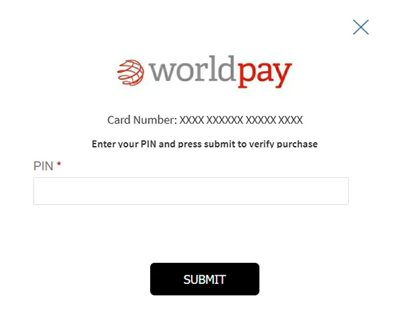Example screenshot showing EBT PIN entry