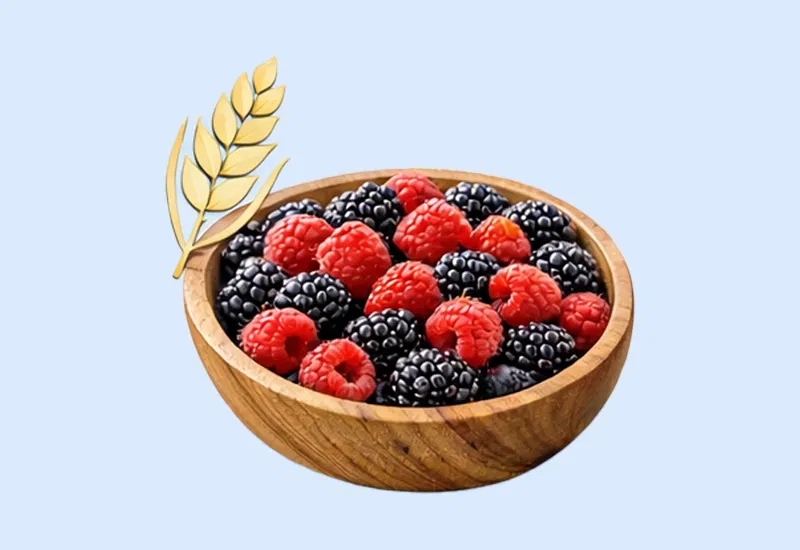 Good Source of Fiber